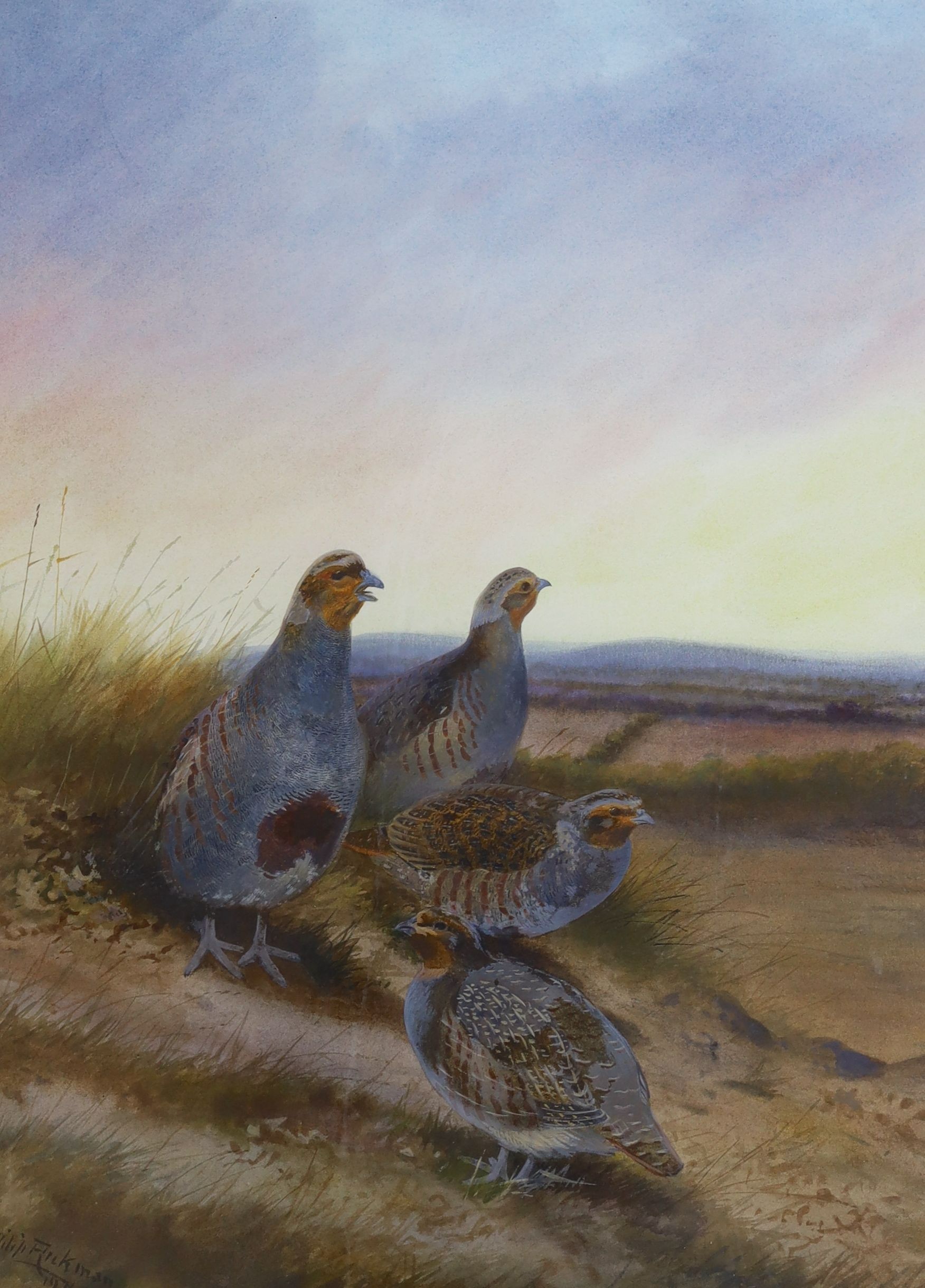 Philip Rickman (1891-1982), watercolour and gouache, 'Evening', partridges in a landscape, signed and dated 1971, 51 x 37cm